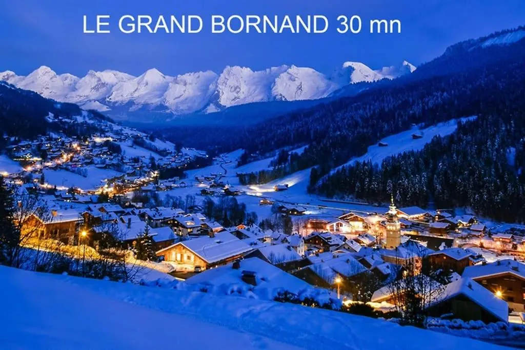 3* Balcon Vue Lac Commerces Et Plage A 100M Annecy Lejlighed