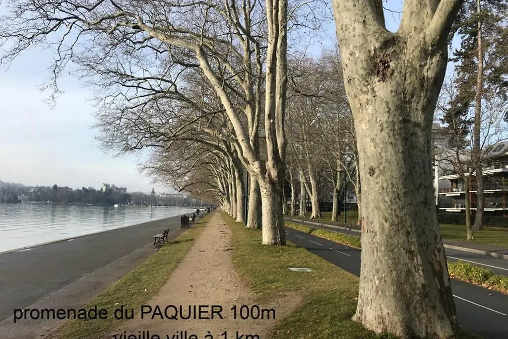 Lejlighed 3* Balcon Vue Lac Commerces Et Plage A 100M Annecy Frankrig